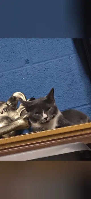 Luna