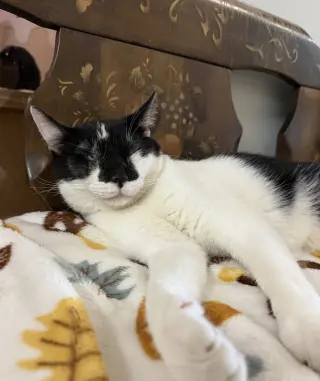 Tux