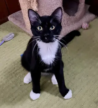 Barry