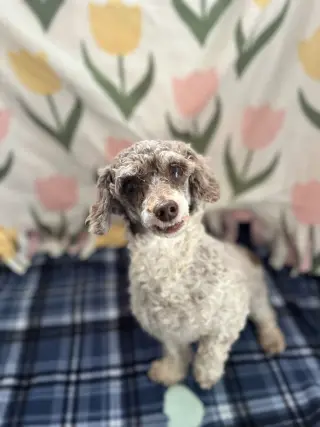Clementine Jul 26