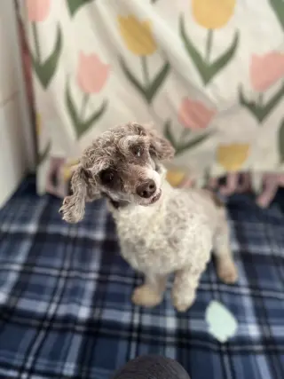 Clementine Jul 26