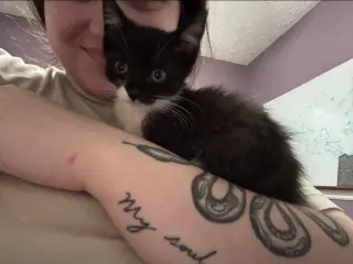 Sylvester