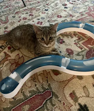Snickers