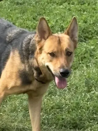 Penelope