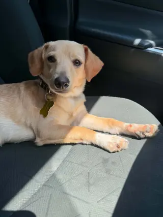 Breadstick