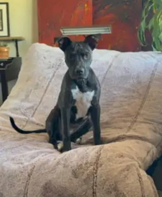 COSMO