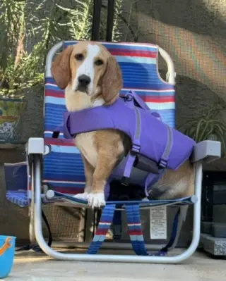 Honey (Redding)
