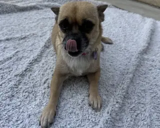 Lola