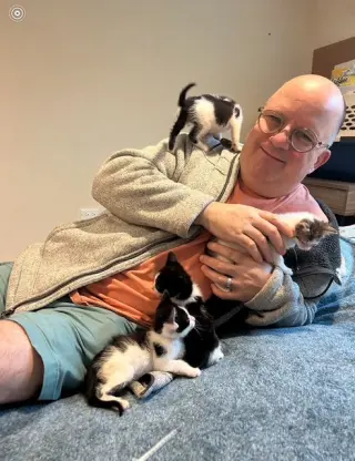 Sailor, Peg leg Pete, Marina AND OTHER KITTENS
