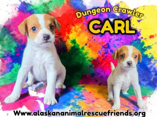 Carl