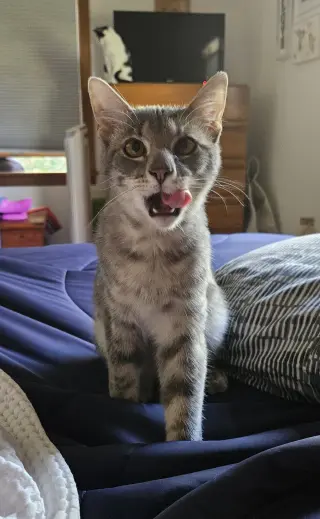 Murdock