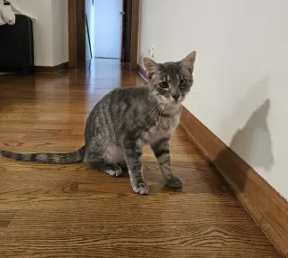 Murdock