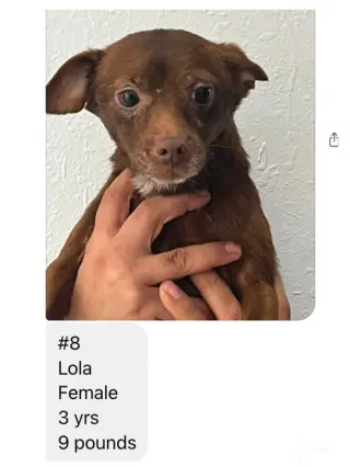 Lola from Mexico