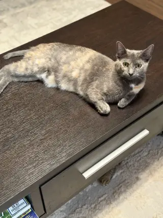 Luna A