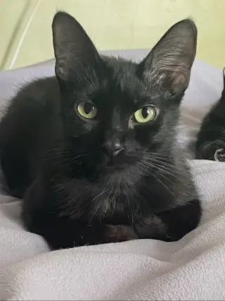 Eleanor