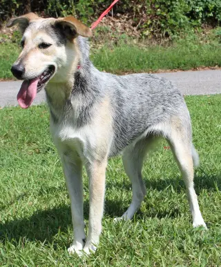 Sadie 42953