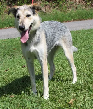 Sadie 42953