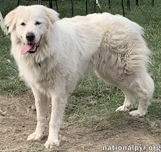 Amaya in KY - Loves To Be With Her People!