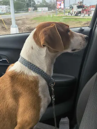 Ellie (Oma)
