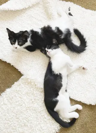 Dottie & Olive