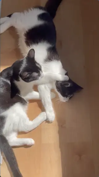 Dottie & Olive