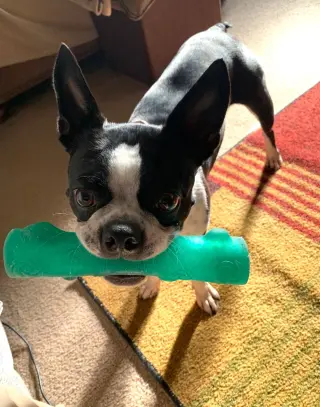 Coco