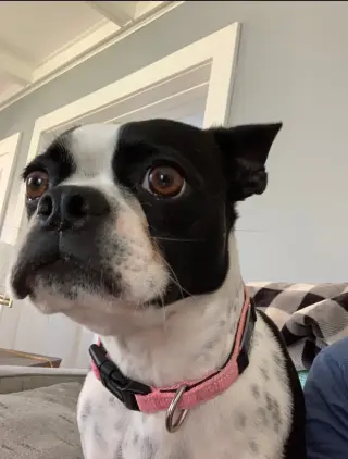 Coco