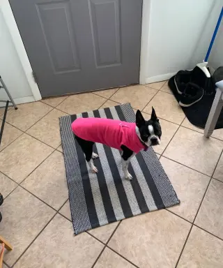 Coco