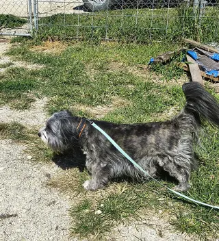 Bobby