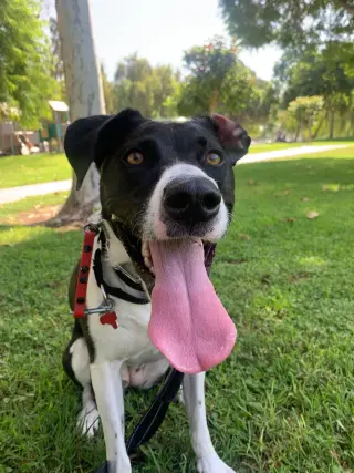 Lucy