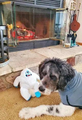 "Otis"