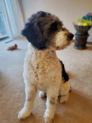 "Otis"