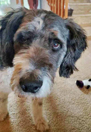 "Otis"