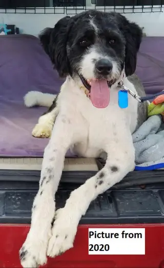 "Otis"
