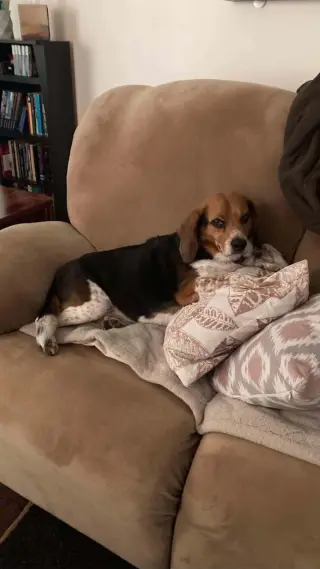 Benny