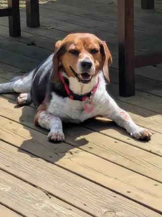 Benny