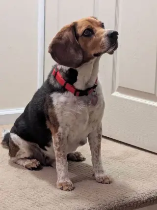Benny