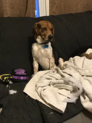 Benny