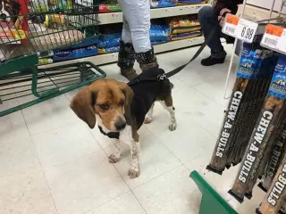 Benny