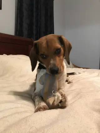 Benny