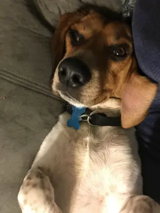 Benny