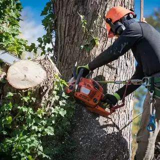 JARDINERO ECONÓMICO 🌳