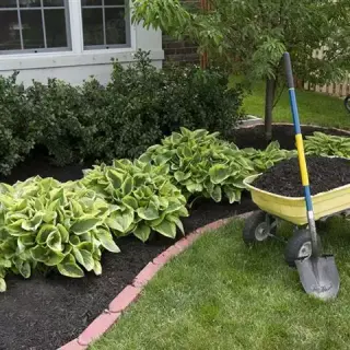 JARDINERO ECONÓMICO 🌳