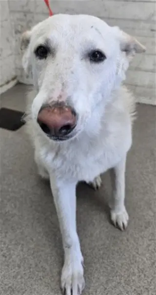 CASPER