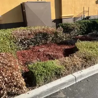 JARDINERIA Y SISTEMAS DE RIEGO