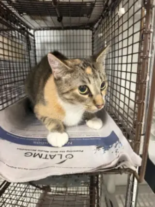 SABRINA