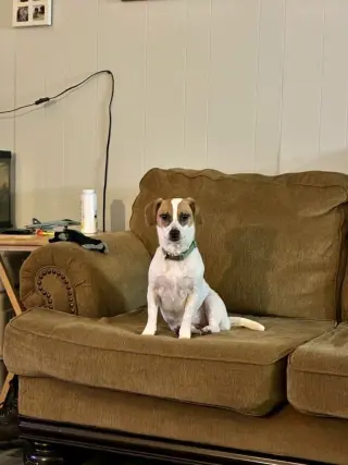 Precious