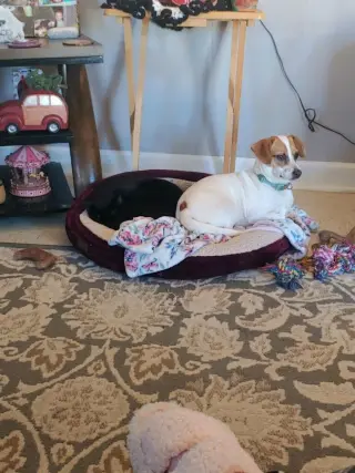 Precious