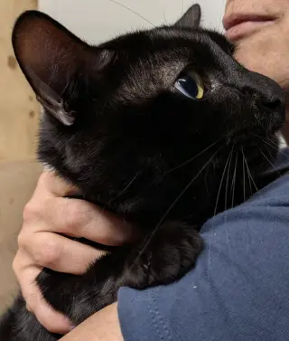 Benny