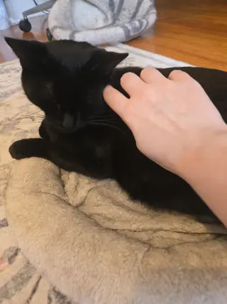 Benny
